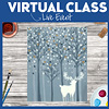 Live Interactive Virtual Class